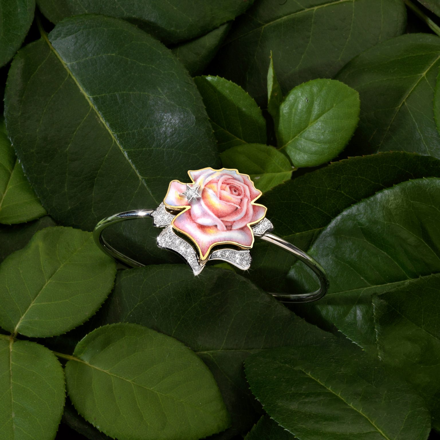 Bracciale Rosa Luce